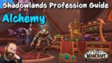 Shadowlands Alchemy Guide – Leveling & Making Money