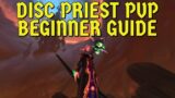 Shadowlands Discipline Priest PvP Beginner Guide