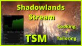 Shadowlands Gold Making + TSM Setup + Old World Tailoring