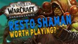 Shadowlands SHOULD YOU PLAY RESTO SHAMAN? My Raid & M+ Experience | WoW