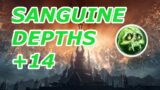 Shadowlands Unholy DK Sanguine Depths +14 Gameplay and Commentary