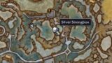 Silver Strongbox – Bastion – Shadowlands Treasure