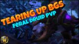 Tearing Up Battlegrounds! – Feral Druid PvP – WoW Shadowlands 9.0.2