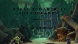 WORLD OF WARCRAFT SHADOWLANDS #25: The Aspiring Warlock Wants to be a Lich| Maldraxxus #1
