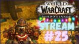 WOW SHADOWLANDS STREAM – 25 / Walkthrough no commentary. Shadowlands World of Warcraft Gameplay