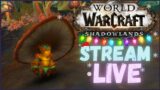 WOW SHADOWLANDS STREAM – 26 / Walkthrough no commentary. Shadowlands World of Warcraft Gameplay