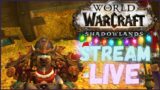 WOW SHADOWLANDS STREAM – 27 / Walkthrough no commentary. Shadowlands World of Warcraft Gameplay