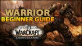 Warrior Beginner Guide | Overview & Builds for ALL Specs WoW Shadowlands