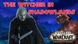 Witcher in Shadowlands