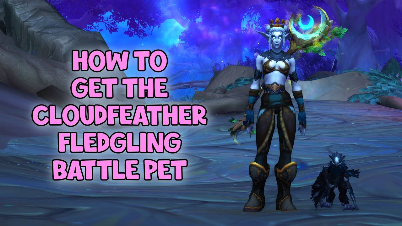 WoW Shadowlands How To Get The Cloudfeather Fledgling Pet Veilwing