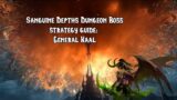 WoW Shadowlands: Sanguine Depths Dungeon Boss guide: General Kaal (Tank, DPS, Heal)