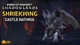 WoW: Shadowlands – Shriekwing (Castle Nathria)