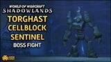 WoW: Shadowlands – Torghast Cellblock Sentinel