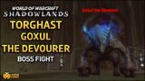 WoW: Shadowlands – Torghast Goxul the Devourer Boss Fight