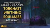 WoW: Shadowlands – Torghast Writhing Soulmass Boss Fight