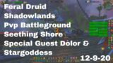 World of Warcraft Shadowlands Feral Druid Pvp Battleground, Seething Shore, 12-9-20