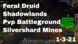 World of Warcraft Shadowlands Feral Druid Pvp Battleground, Silvershard Mines, 1-3-21