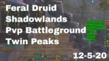World of Warcraft Shadowlands Feral Druid Pvp Battleground, Twin Peaks, 12-5-20