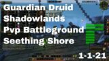 World of Warcraft Shadowlands Guardian Druid Pvp Battleground, Seething Shore, 1-1-21