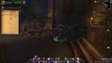 World of Warcraft Shadowlands (WORLD QUESTS)