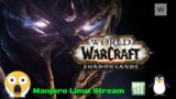 world of warcraft shadowlands on Manjaro Linux gaming.