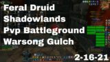 World of Warcraft Shadowlands Feral Druid Pvp Battleground, Warsong Gulch, 2-16-21