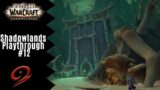 Apprentice…wut? | World of Warcraft: Shadowlands Playthrough #12