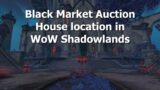 Black Market Auction House location in WoW Shadowlands