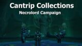 Cantrip Collections–World Quest–WoW Shadowlands