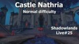 Castle Nathria on Normal 7/10 Run–Unholy DK—-WoW Shadowlands Live#25