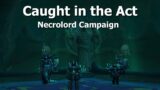 Caught in the Act–Necrolord Campaign–WoW Shadowlands