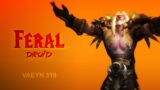 Feral Druid PvP | Wintergrasp Epic Battleground | WoW Shadowlands | Vaeyn 319