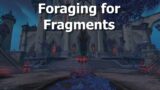 Foraging for Fragments—Quest–WoW Shadowlands