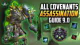How to Assassination Rogue Guide 9.0 – Shadowlands – World of Warcraft
