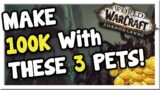 Make 50-100k With These 3 EASY Pets! | Shadowlands | WoW Gold Making Guide