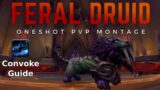 One Shot PvP Montage + Full Convoke Guide for Feral Druid (WoW Shadowlands)