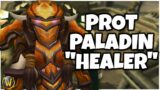 Prot Paladin "Healer" | Feral Druid PvP | WoW Shadowlands 9.0.2