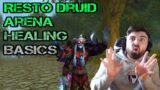 Resto Druid Arena HEALING Basics + Self VOD Review – WoW Shadowlands Rdruid PvP