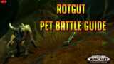 Rotgut Pet Battle Guide – Shadowlands