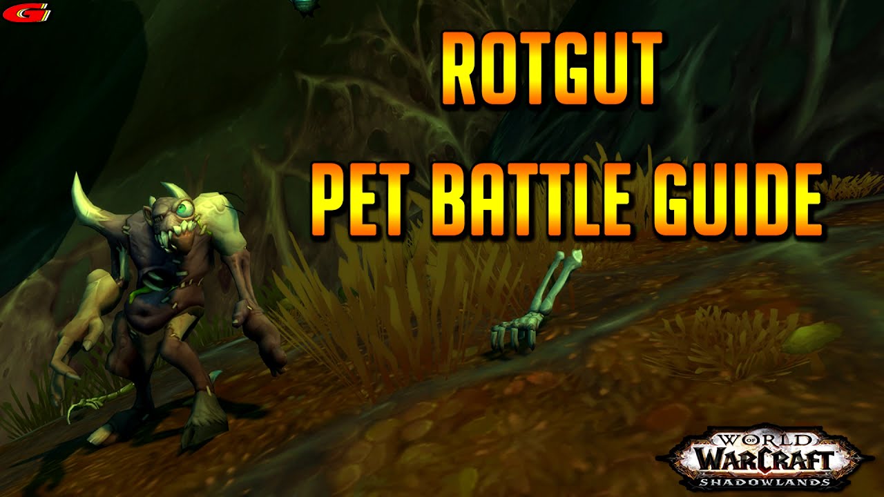 Rotgut Pet Battle Guide Shadowlands World of Warcraft videos