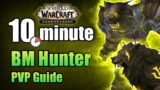 Shadowlands 9.0.2 Beast Mastery Hunter PVP Guide in under 10 minutes | WoW