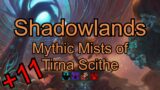 Shadowlands Fire Mage POV Mythic+ 11 Mists of Tirna Scithe