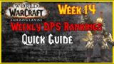 Shadowlands Week 14 Tour Guide | DPS RANKINGS Castle Nathria | WoW Shadowlands