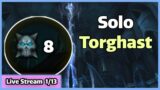 Solo Torghast – Layer 8 – Beast Master Hunter – World of Warcraft Shadowlands