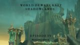 WORLD OF WARCRAFT: SHADOWLANDS: DEFINITIVE EDITION EPISODE IV