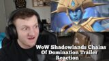 World Of Warcraft Shadowlands Chains Of Domination Trailer Reaction
