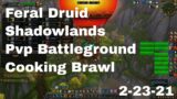 World of Warcraft Shadowlands Feral Druid Pvp Battleground, 2-23-21