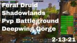 World of Warcraft Shadowlands Feral Druid Pvp Battleground, Deepwind Gorge, 2-13-21