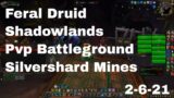 World of Warcraft Shadowlands Feral Druid Pvp Battleground, Silvershard Mines, 2-6-21