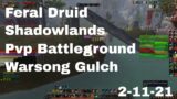 World of Warcraft Shadowlands Feral Druid Pvp Battleground, Warsong Gulch, 2-11-21